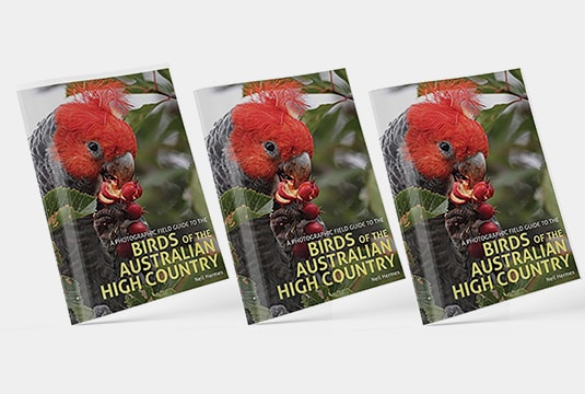 Birds of the Australian High Country Book Cover