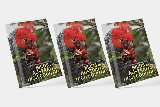 Tweet About This 1 - Canberra Guided Tours Birds of the Australian High Country Book Cover
