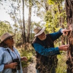 Best of Wildlife Tour Australian Trees