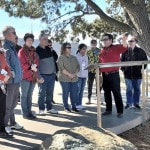 Highlights of Canberra Tour National Arboretum