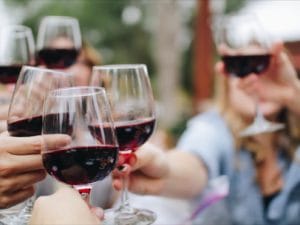 Canberra Wine Tour Cheers