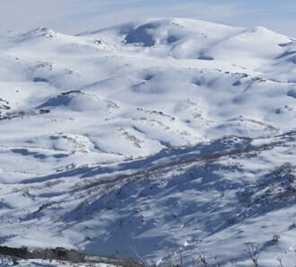 Custom Private Tours of Canberra - Exclusive charters