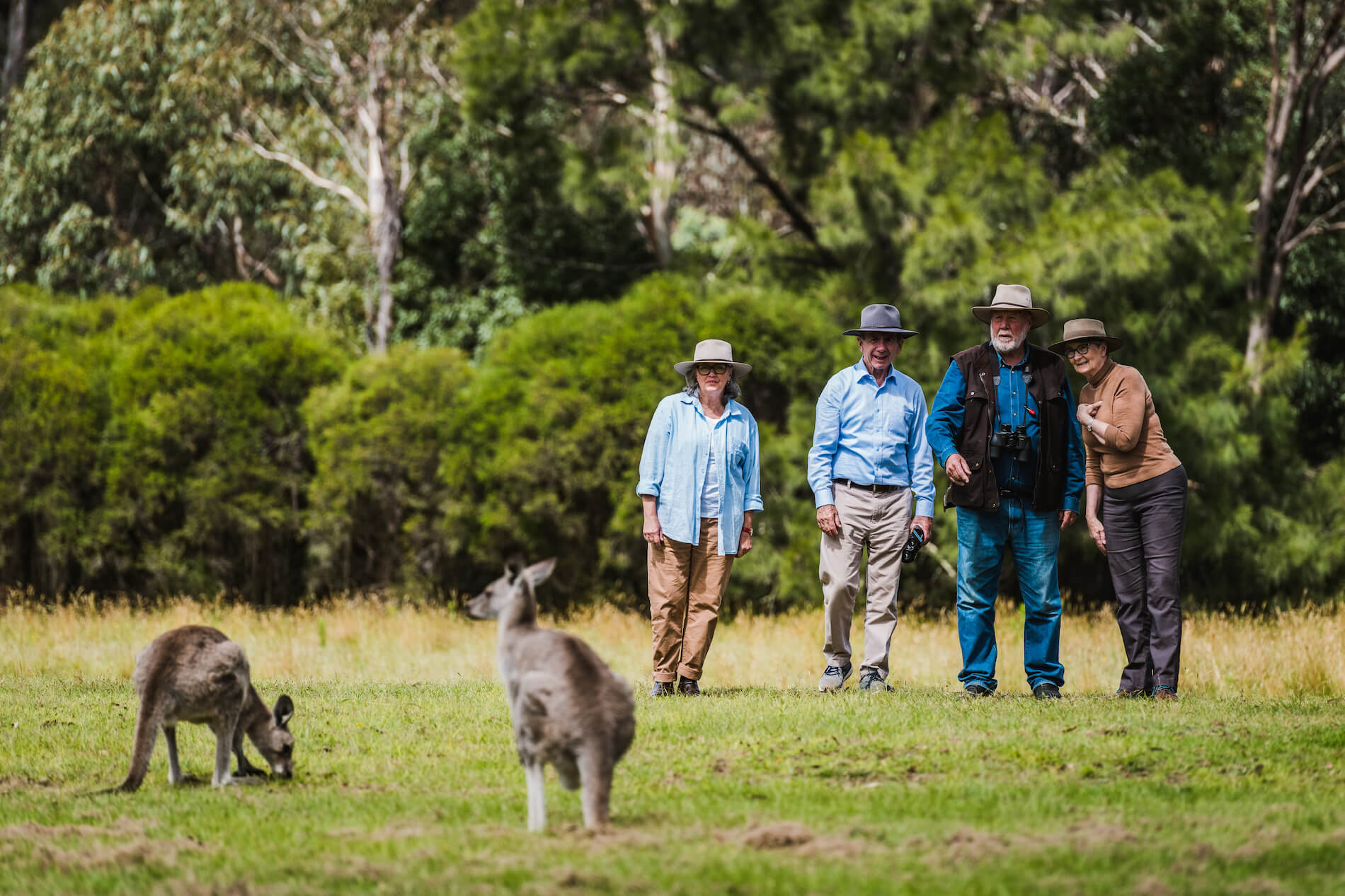 Wildlife Tour Kangaroos guests CGT