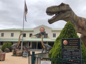 step guide img 02 - Canberra Guided Tours Entrance to the National Dinosaur Museum showing a large lifelike Tyrannosaurus rex head sculpture looming over the courtyard, two long-neck dinosaur models near the museum building and a signboard advertising the museum.